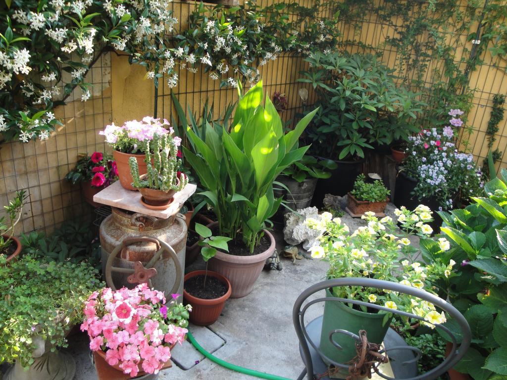 The Tower Of The Old King Bed & Breakfast Desenzano del Garda Bagian luar foto