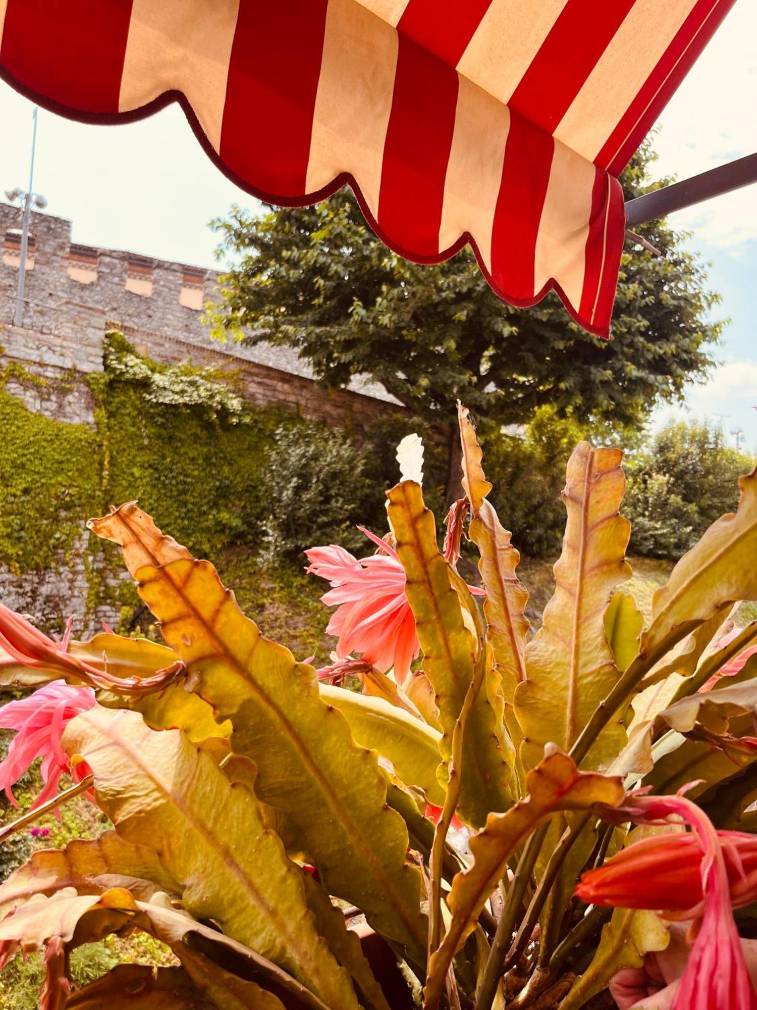 The Tower Of The Old King Bed & Breakfast Desenzano del Garda Bagian luar foto